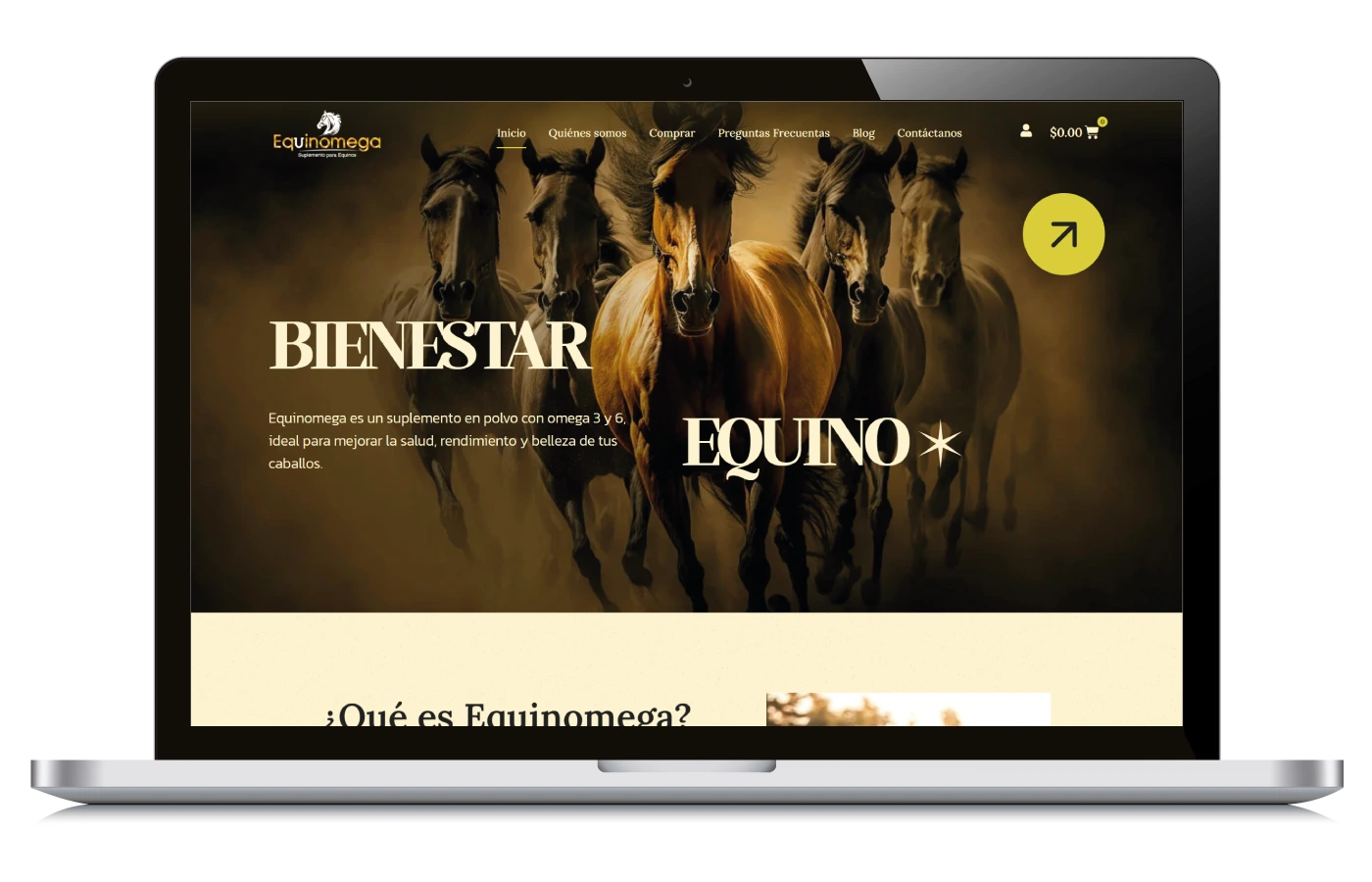 Equinomega – Ecommerce de Alimentos para Equinos